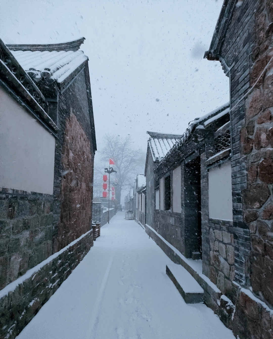 14最大雪深11厘米是北极圈划到这里了吗风雪见证可爱的烟台