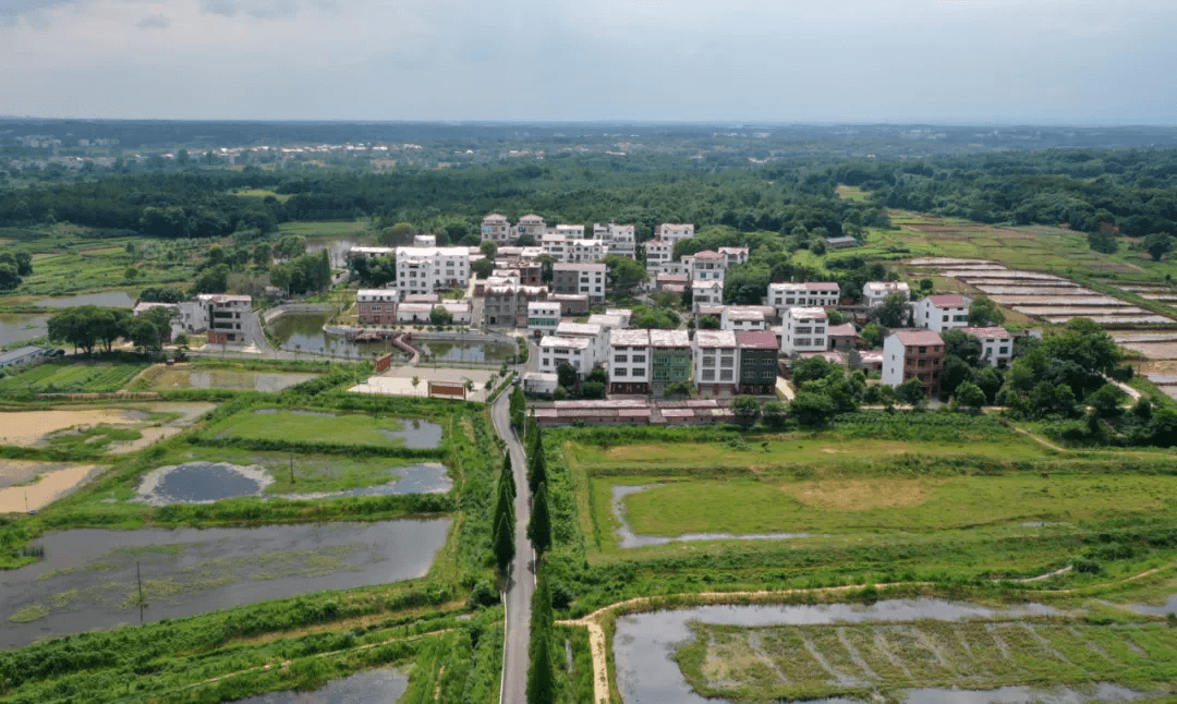 高安龙潭镇荣获"省级生态乡(镇)"荣誉称号!_建设_彭松涛_水污染