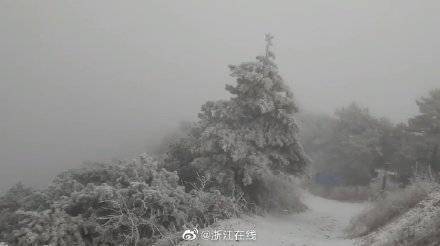 淳安县|雪来了！浙江多地下雪啦