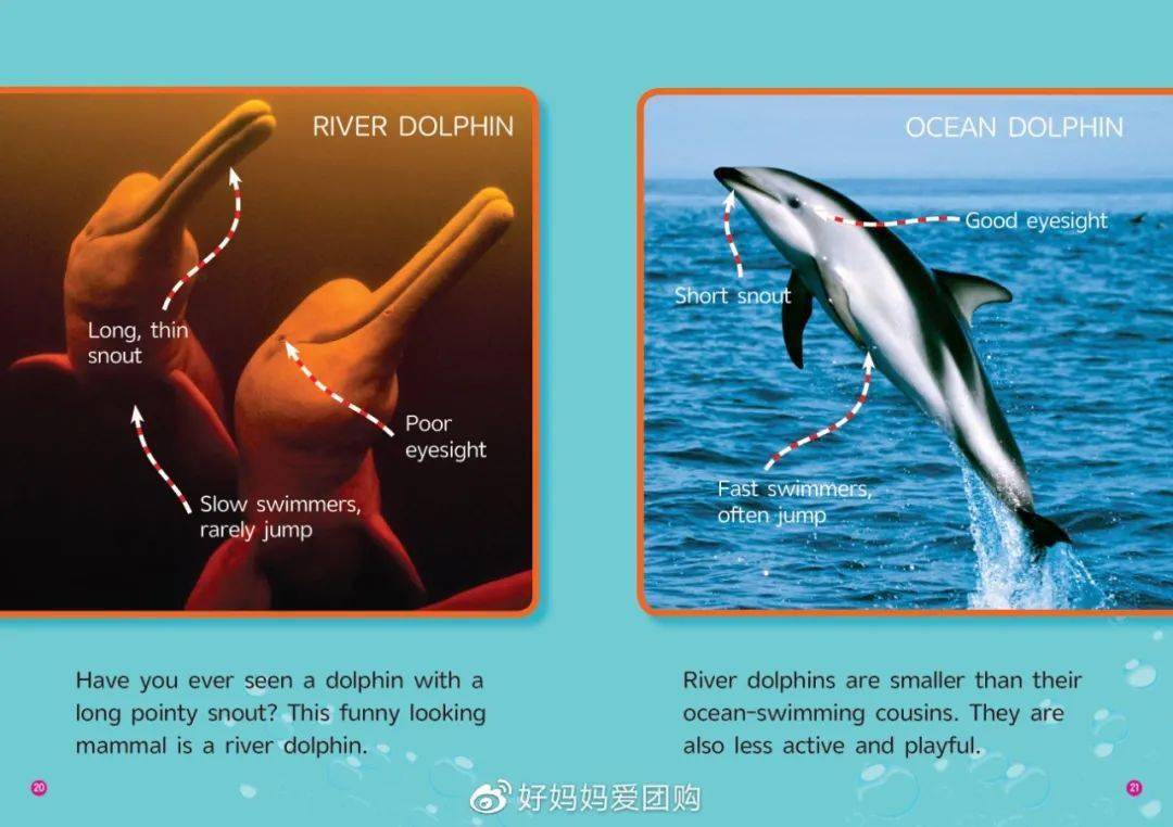 经典国家地理英语科普读物出新品了是大家都在等的第3级