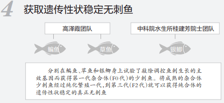 来源|重大突破！以后吃鱼或无需挑刺！吃货们坐不住了…