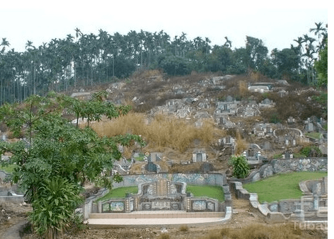 農村看墳地絕招:三步便知子孫興衰_草木_民間_墳墓