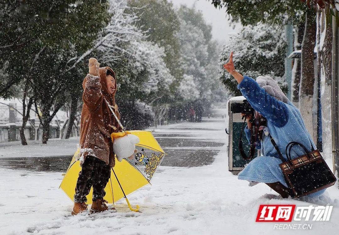 三只熊|借奥运“冬”风 湖南热“雪”沸腾