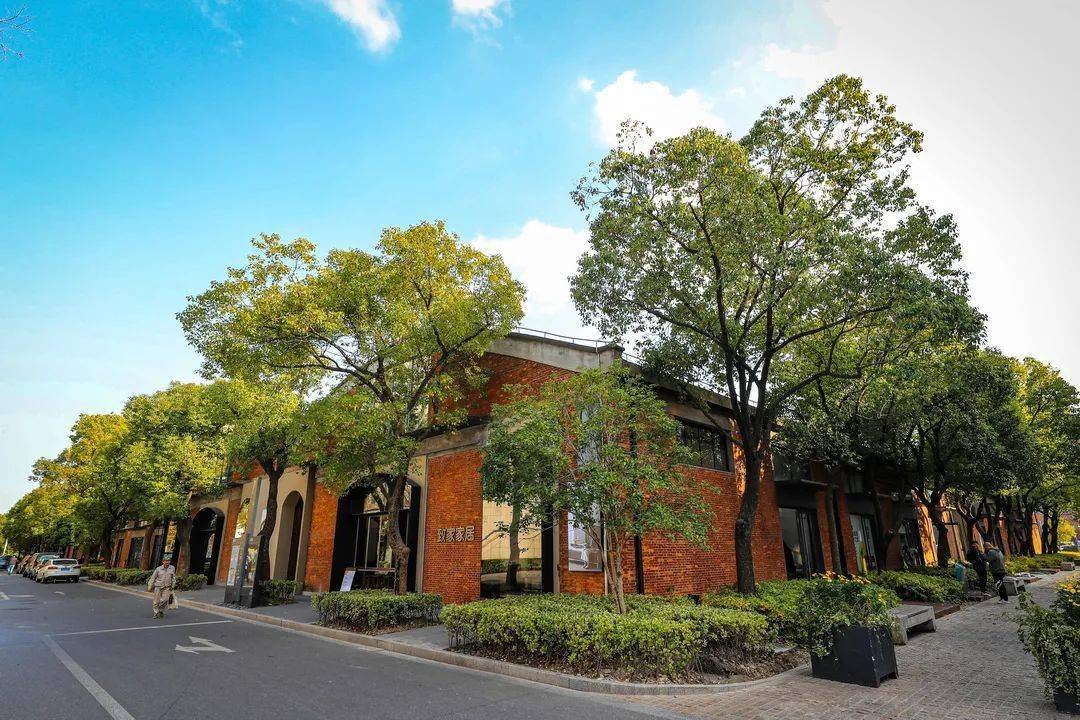 中成智谷最近上新啦15系列展览带你感受美学原创力