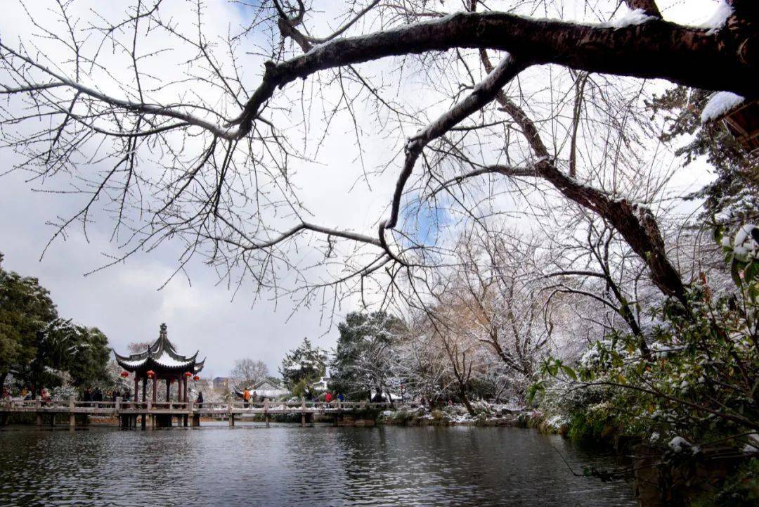 洛阳|初冬，我在南翔等一场雪