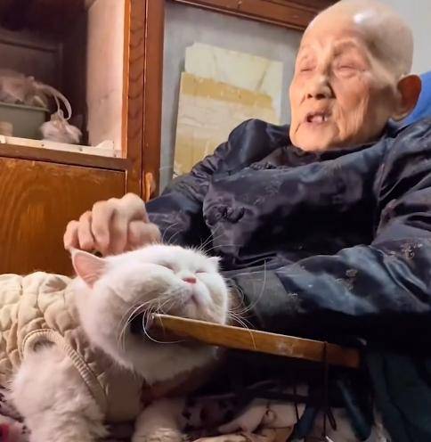 河北91歲奶奶躺椅子和8歲貓咪語重心長地聊天,網友聽完內容淚目_老人