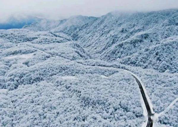 白天|成都“初雪”报到！