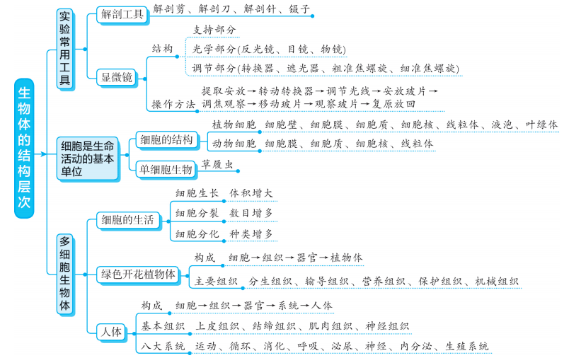 是一种|初中生物各专题知识梳理思维导图大汇总，预习复习都适用！