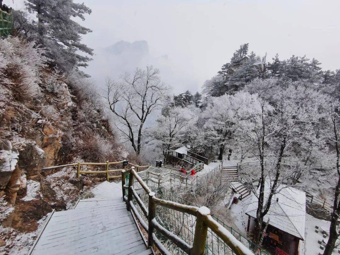 河南老界岭:雪后初晴现冰雪雾凇奇观_西峡_雪景_木屋