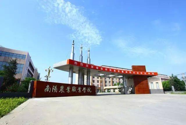 南阳:五千年人文历史古朴厚重 八百里伏牛山风光无限_西峡_中原_文化