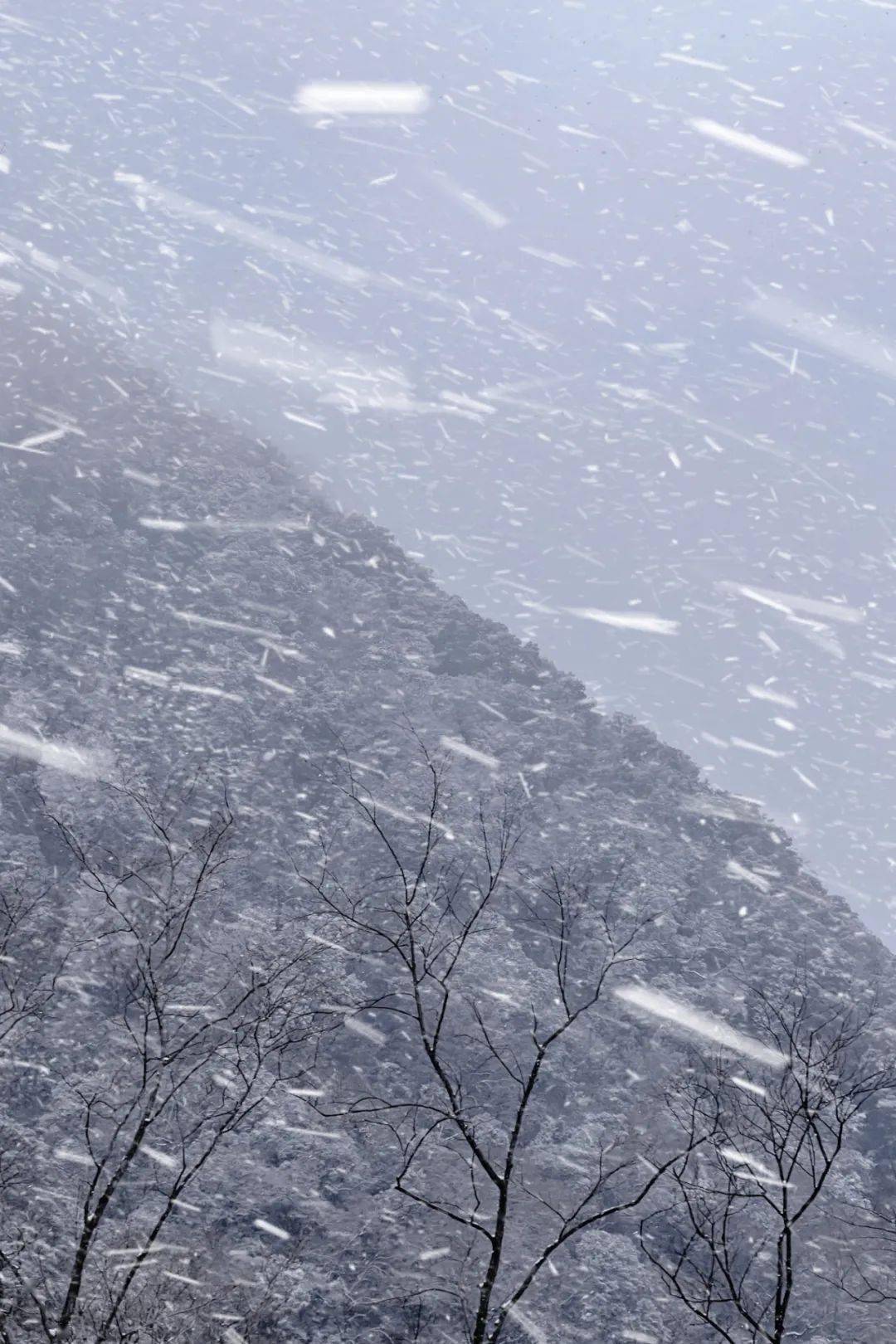 广元下雪啦!_大雪_实习_尾声