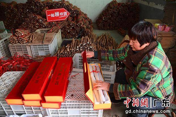 土地|好农货出自好产地，央视带货助温县垆土铁棍山药“火出圈”