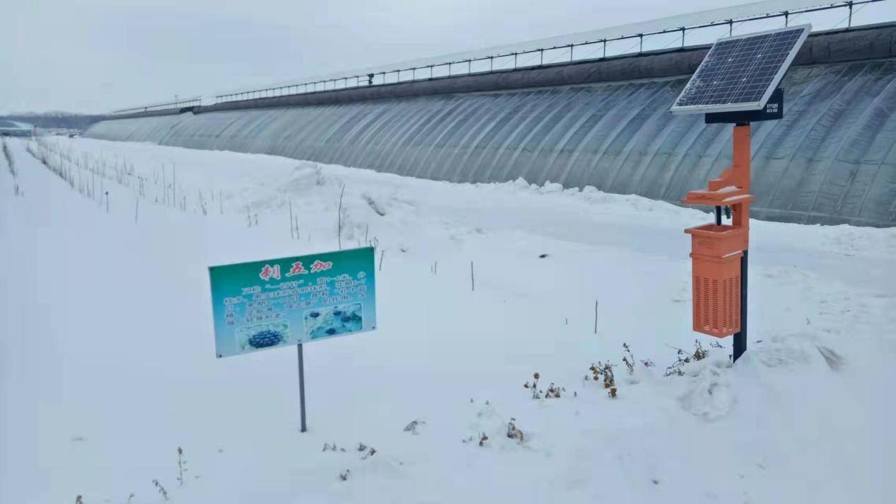 汤原县胜利乡绿色产业引领乡村振兴