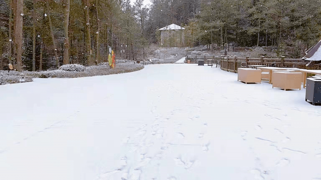 黎丁萍|巴中下雪了！