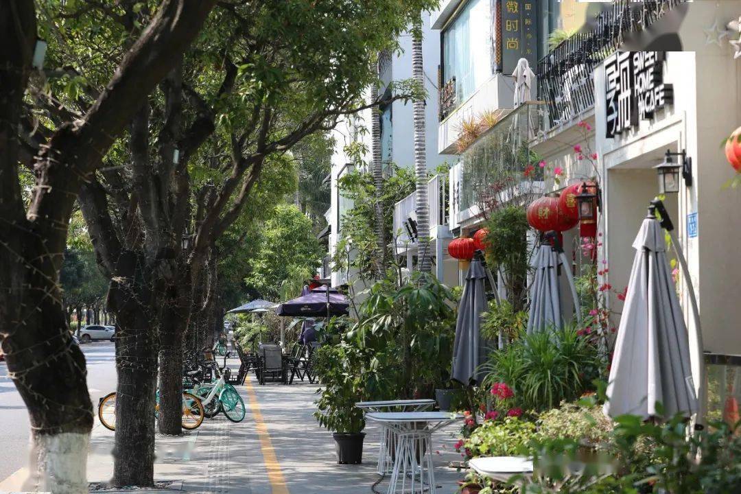 来到筼筜书院这是厦门第一座现代书院位于白鹭洲公园东区竹林环水