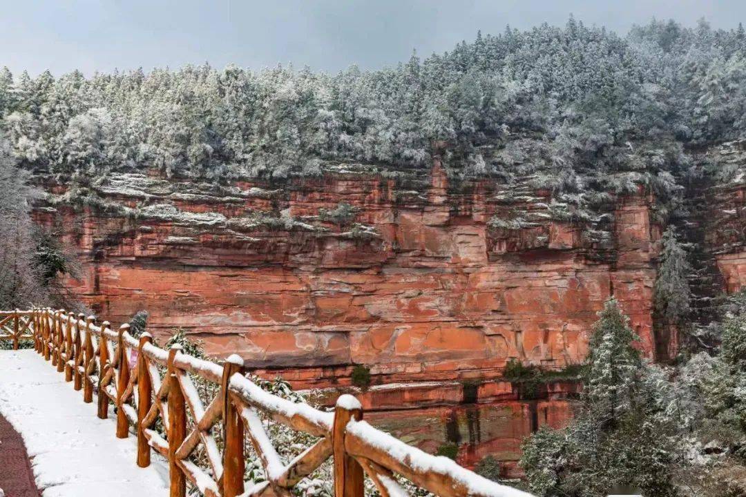 四面山初雪报到邀君共赴欣赏