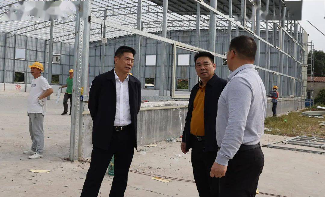 廉江市委书记:动真碰硬,坚决完成土地卫片执法整改任务!