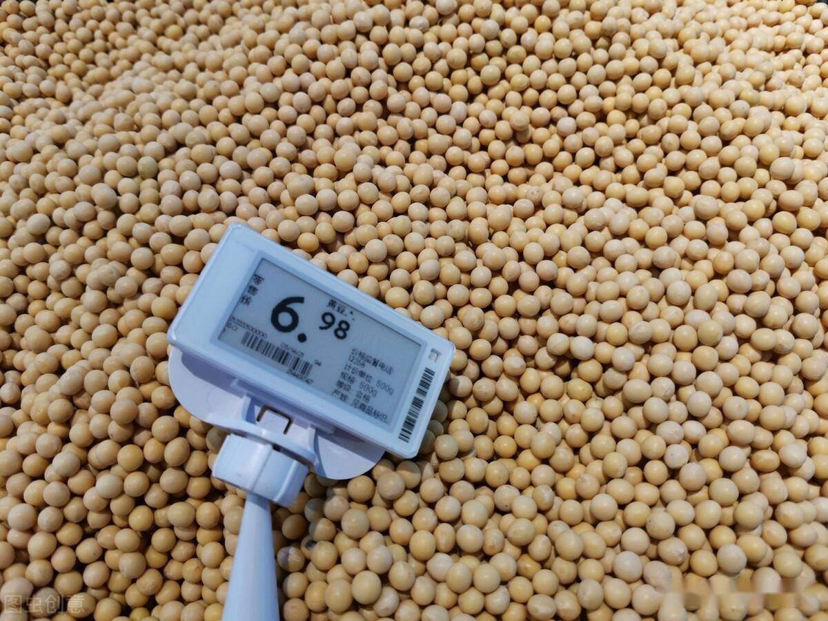 【嘉可能缠论期货】9月30日 豆粕期货 实例分析讲解 - 哔哩哔哩