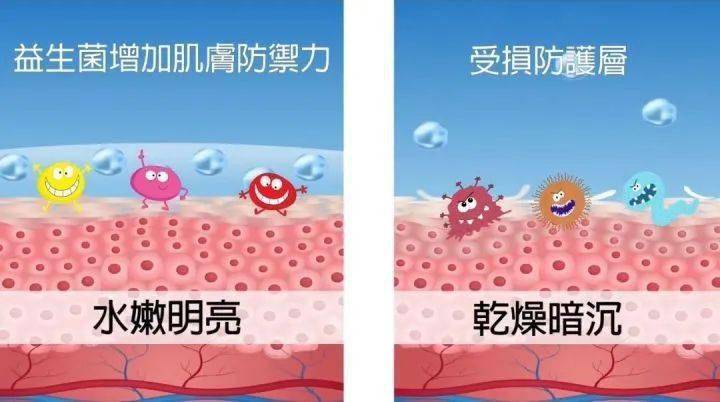屏障为什么她敷出了从美容院出来的效果？