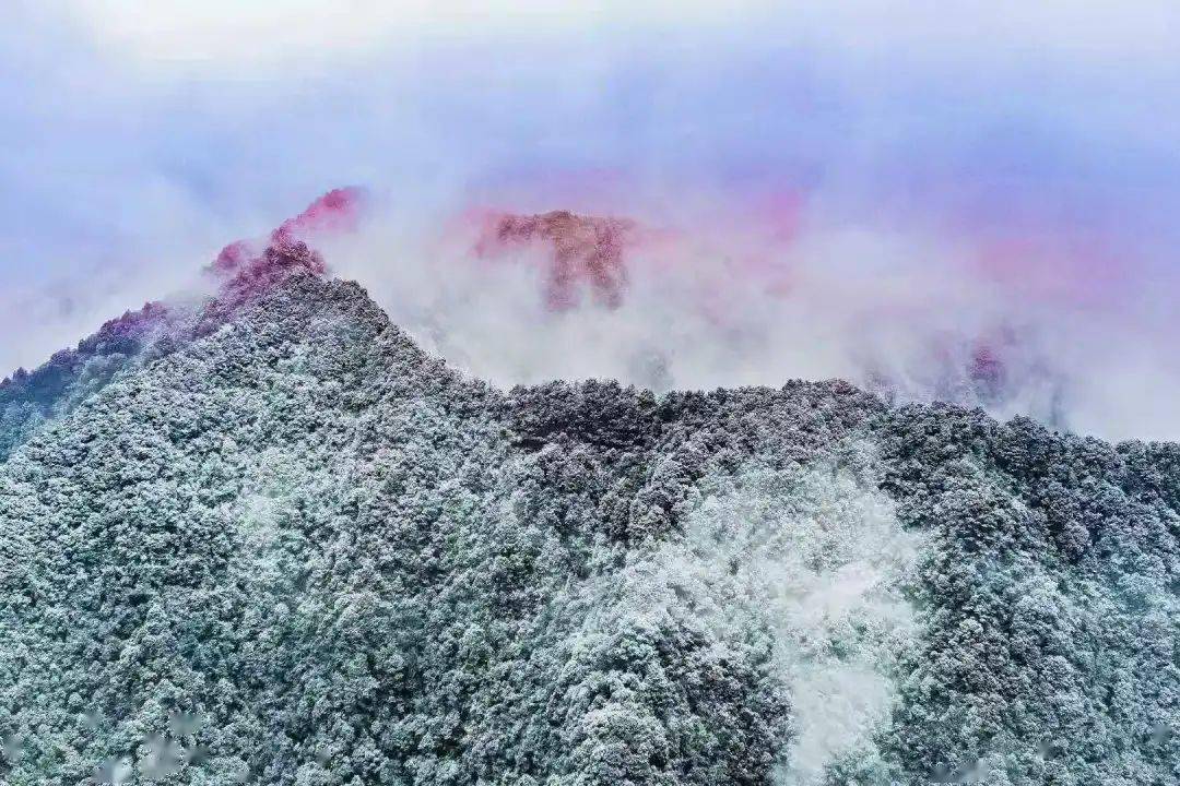 四面山初雪報到邀君共赴欣賞