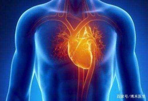 人体准确的心脏位置图片