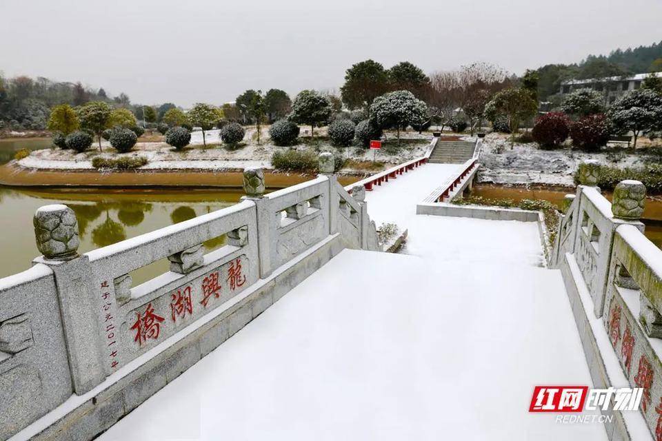 红墙|组图 | 一起“打卡”蒸湘雨母山“雪世界”