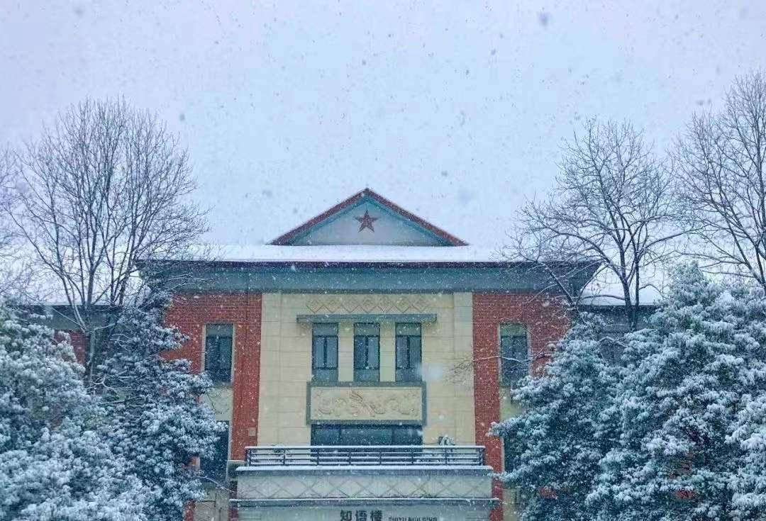 初雪|湖南高校初雪图鉴 第一次这么认真地赏雪