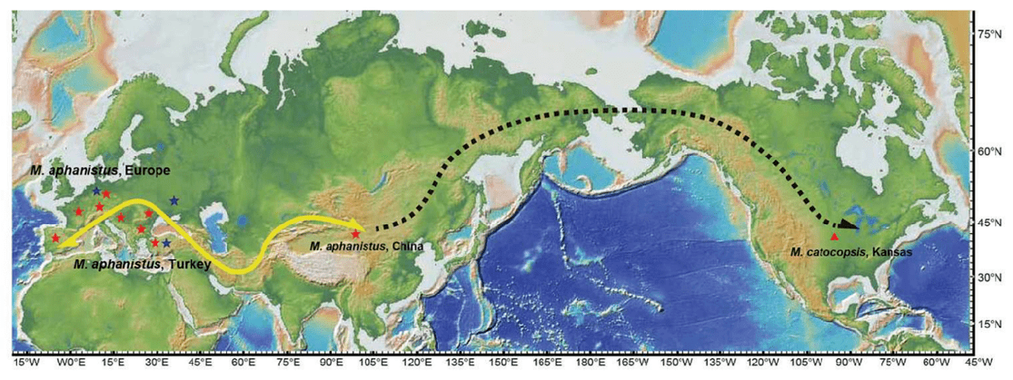 足迹|远古发现丨2021年这些有关“远古”的新发现，哪个曾让你大吃一惊？