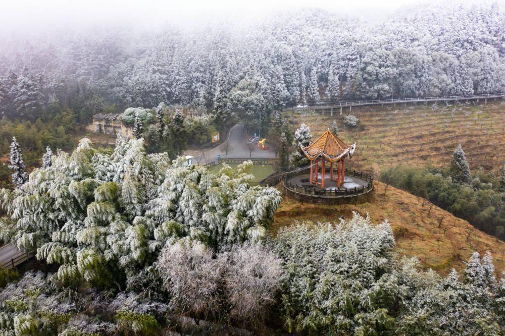 麻辣燙丨寒潮來襲後,放牛坪的冰雪世界不容錯過_渝北區_雪景_茨竹鎮