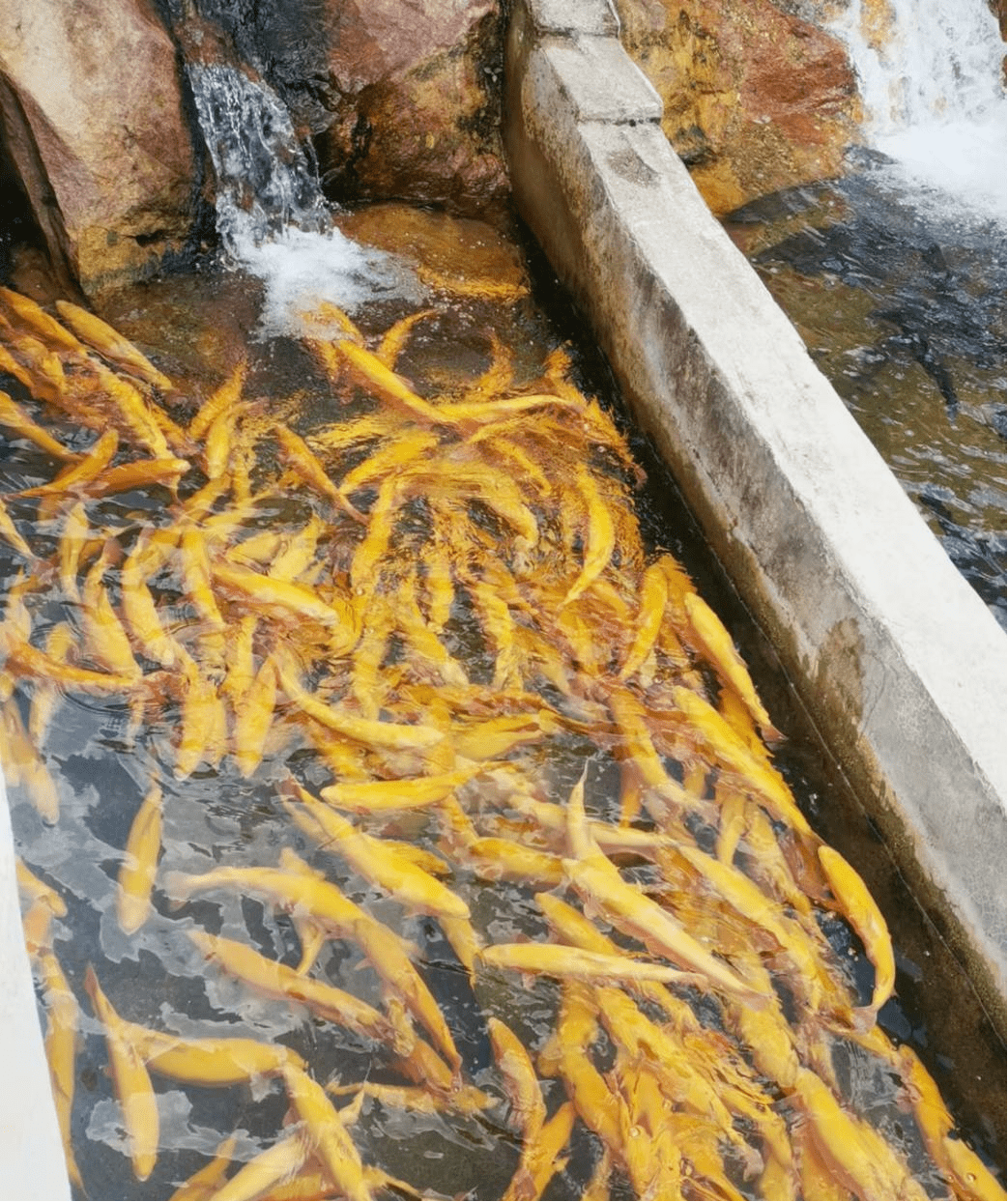 余干时鲜大酒店图片