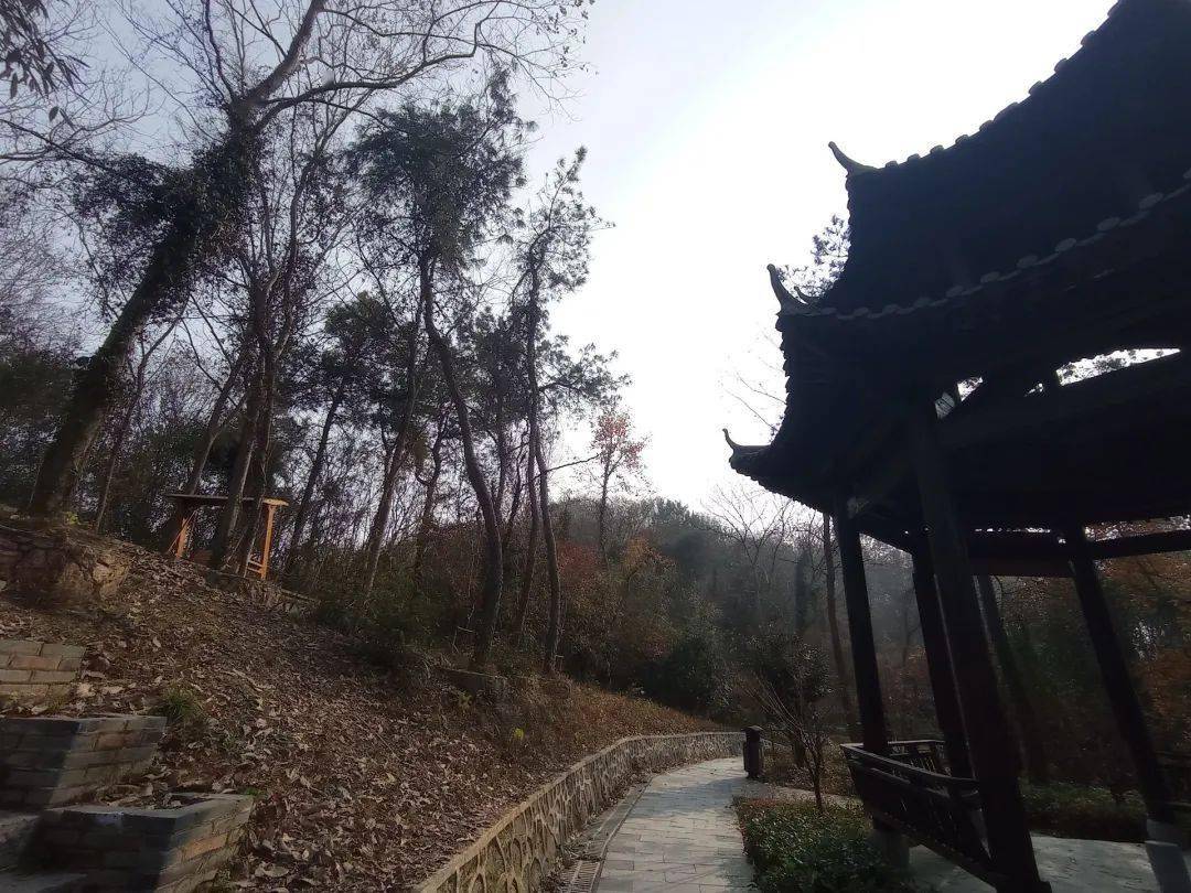 重游庐江金牛山欣赏层林尽染之美