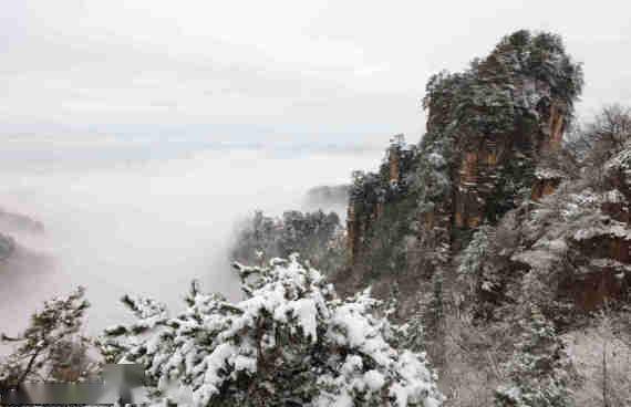 吴勇兵|湖南张家界：冰雪染峰林 云海入画来