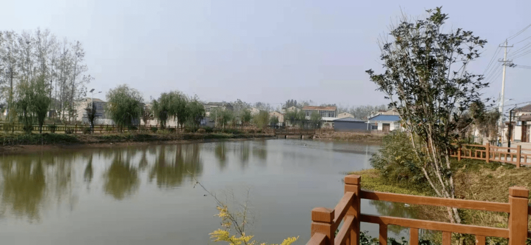 近日,杨楼镇,永堌镇做了这些工作~_萧县_培训_环境