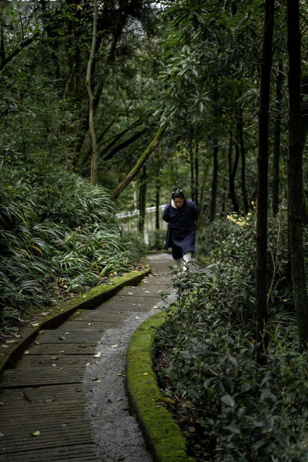 地方|高坪这么美，你难道还没去过吗？