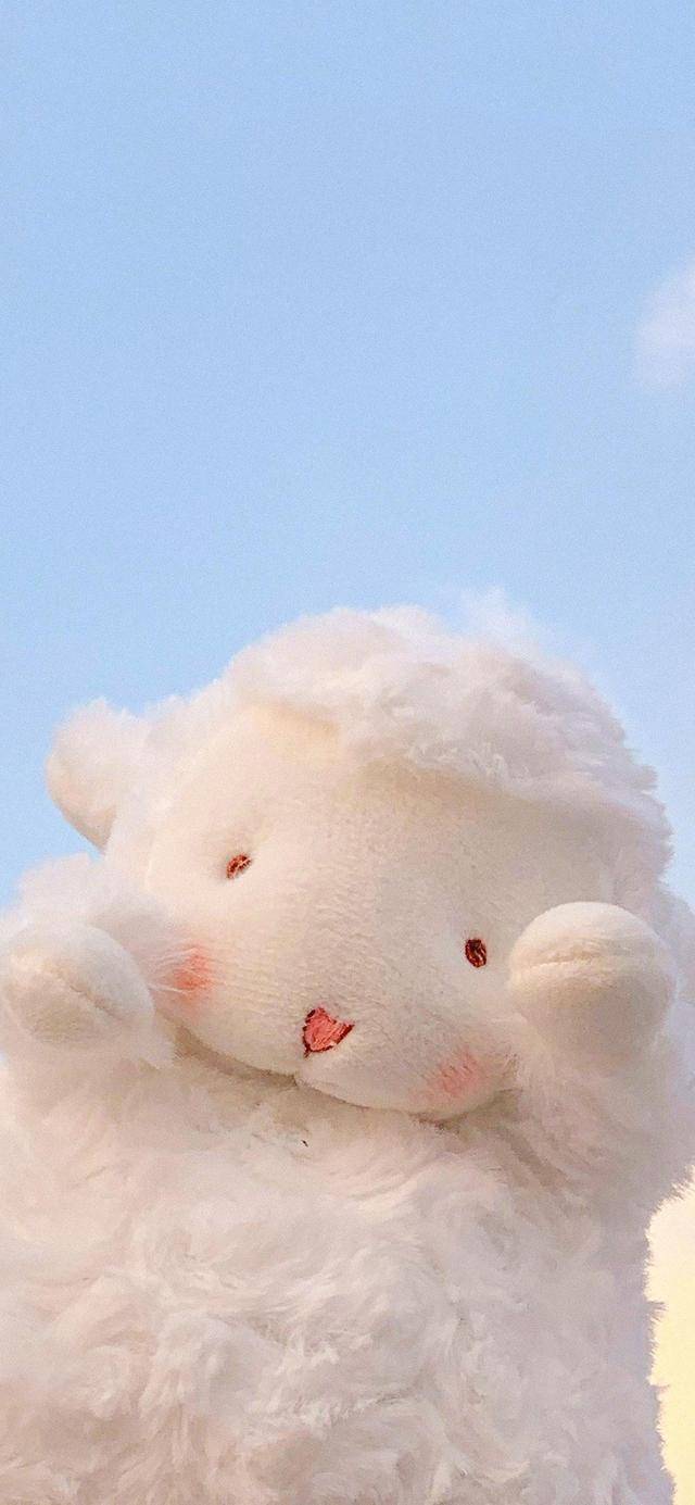 可爱萌萌的小羊壁纸 手机 小伙伴 因为 可爱萌萌的小羊壁纸 手机 小伙伴 因为