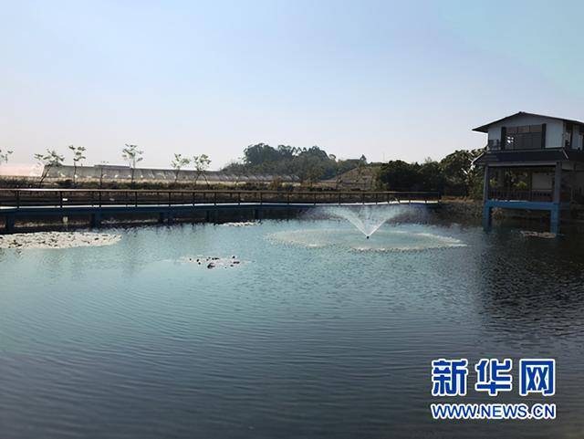 什么叫做碳达峰 54d5c09f0a7840ecab34741481121c84.jpeg