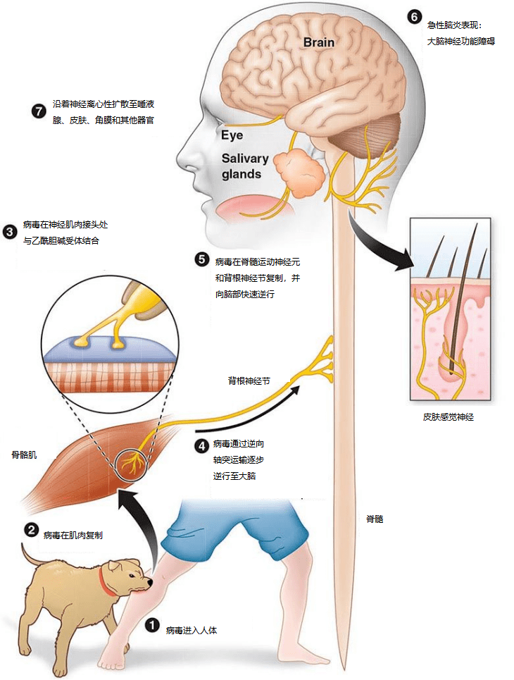 5cbe78aea5f04885ae1d62d6aca9902d.png