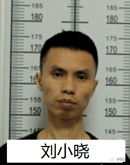 达州端掉一黑恶势力团伙22人全被逮捕