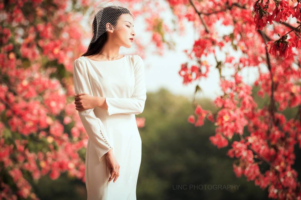 唯美花海女神 花海 唯美 女神