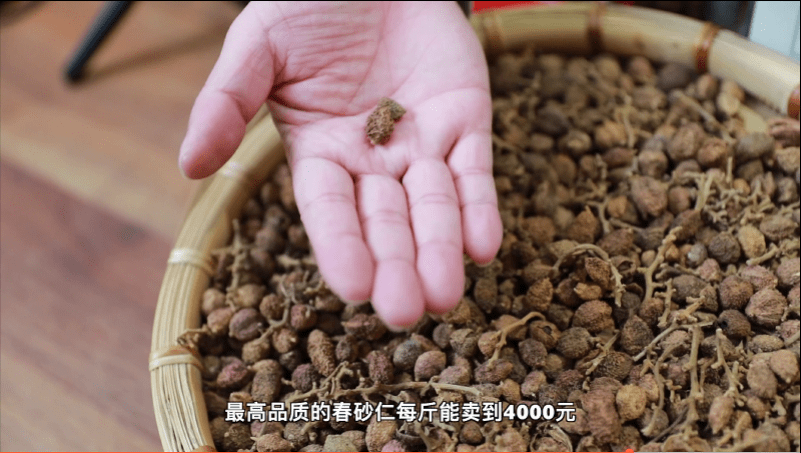 的挥发油和镇痛功效的乙酸龙脑酯,含量超过国内其他地区和越南,缅甸