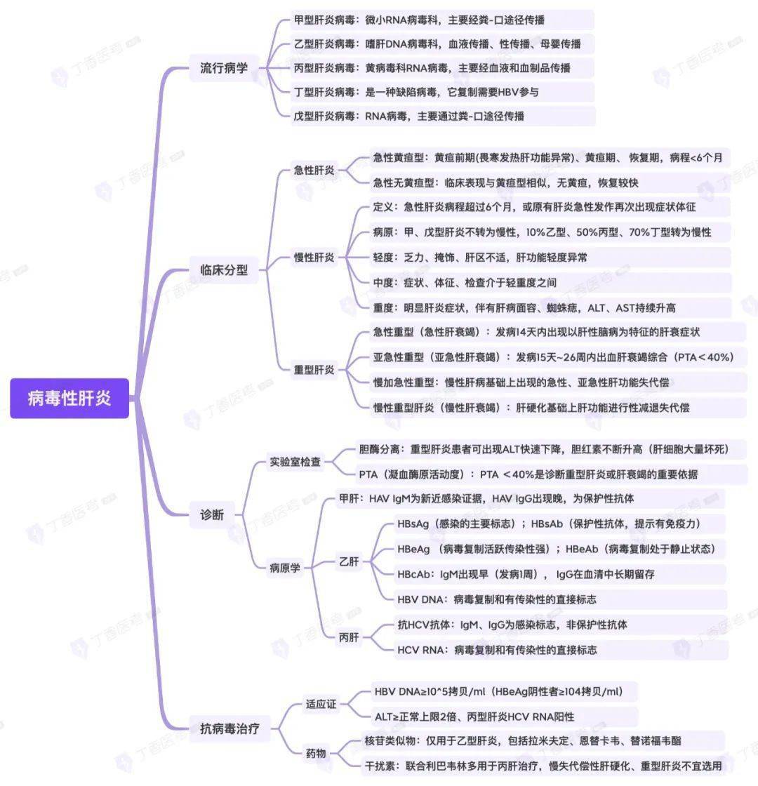 肝性脑病思维导图图片