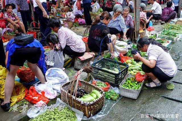 批发买菜赚钱吗
