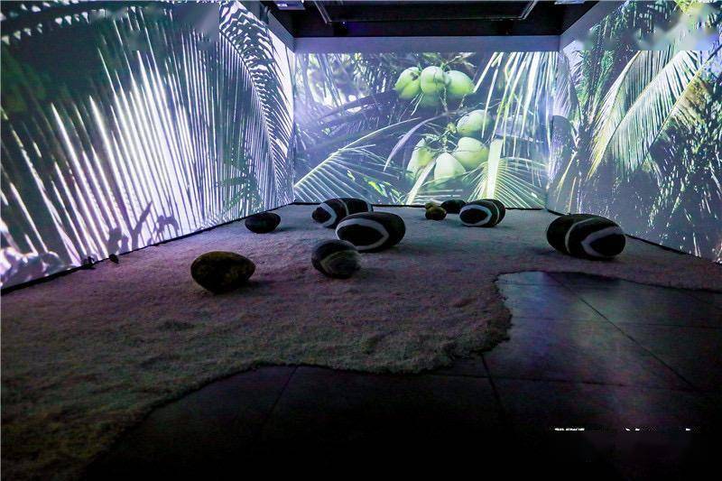 影像|回到灵感的源头！艺术家陈海首次在故乡海南岛办展