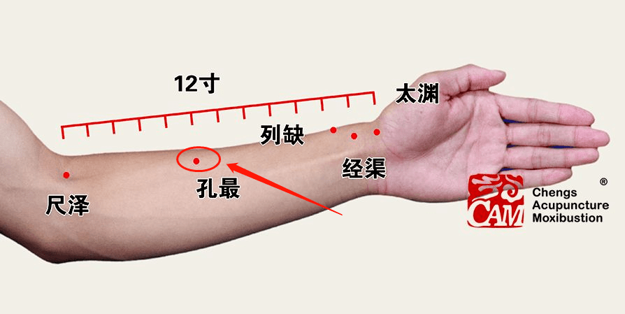 d42df1fe92494321ae9fca2fede6efb2.png