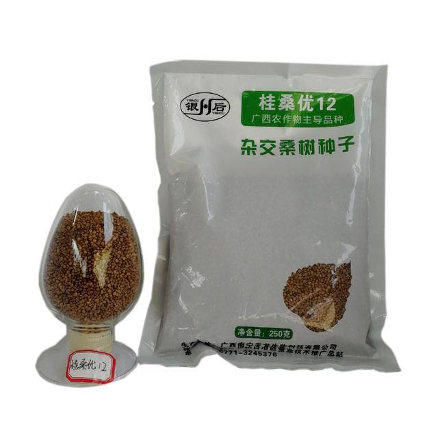 除了杂交水稻还有杂交桑树对于桂桑优12你了解多少