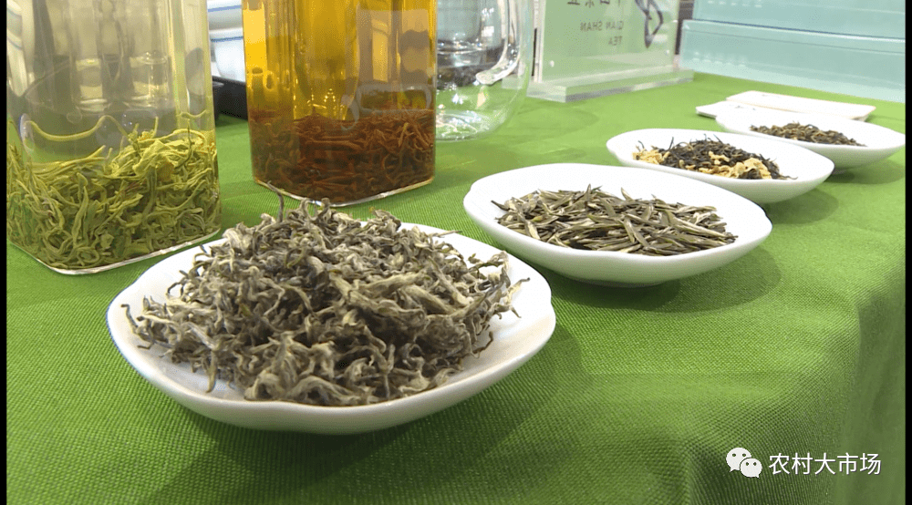 聚焦西部茶博会闪耀陕茶新魅力