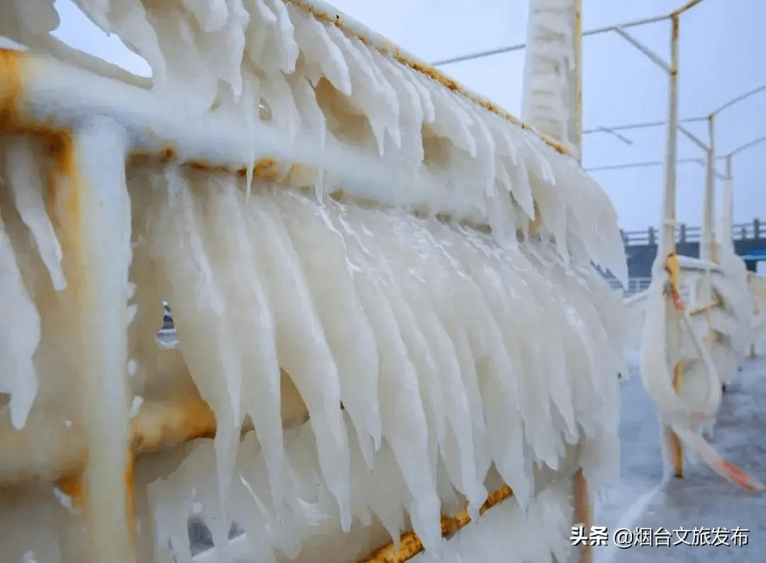 图片|相约在“冰雪仙境”，静静感受冬天的魅力！