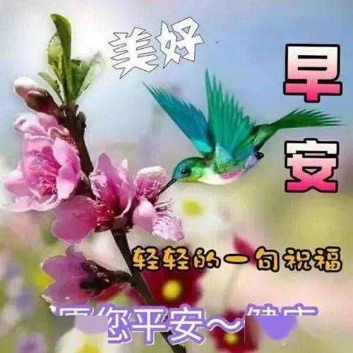 微信唯美大家早上好鮮花表情動圖 微信早上好祝福語鮮花圖片大全_朋友