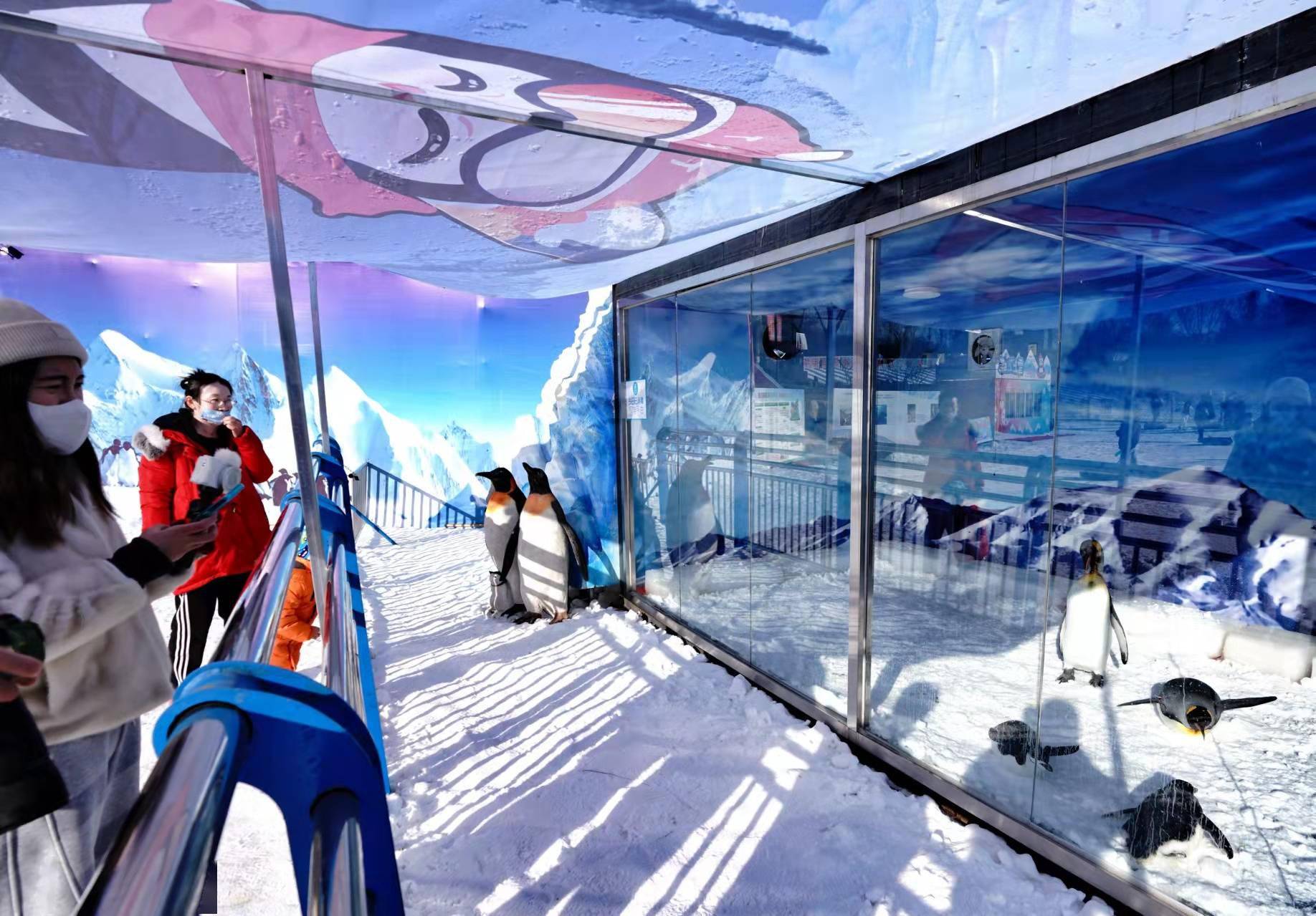 冰雪游园会开幕陶然亭紫竹院玉渊潭公园雪场开放迎新年