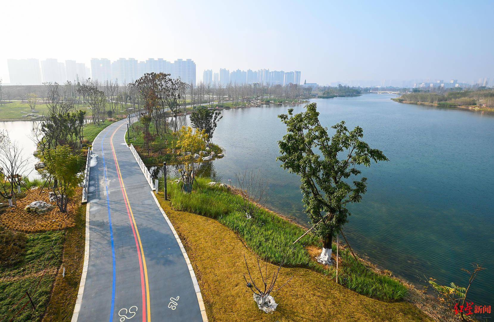 体系|运动成都的2022年第一天：沿着绿道奔跑！